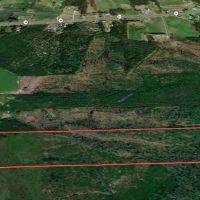 57.31 Acres of Unrestricted Recreational and Rural Residential Land for Sale in Duplin County NC images 3
