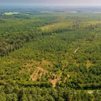 57.31 Acres of Unrestricted Recreational and Rural Residential Land for Sale in Duplin County NC images 4