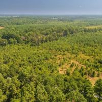 57.31 Acres of Unrestricted Recreational and Rural Residential Land for Sale in Duplin County NC images 5