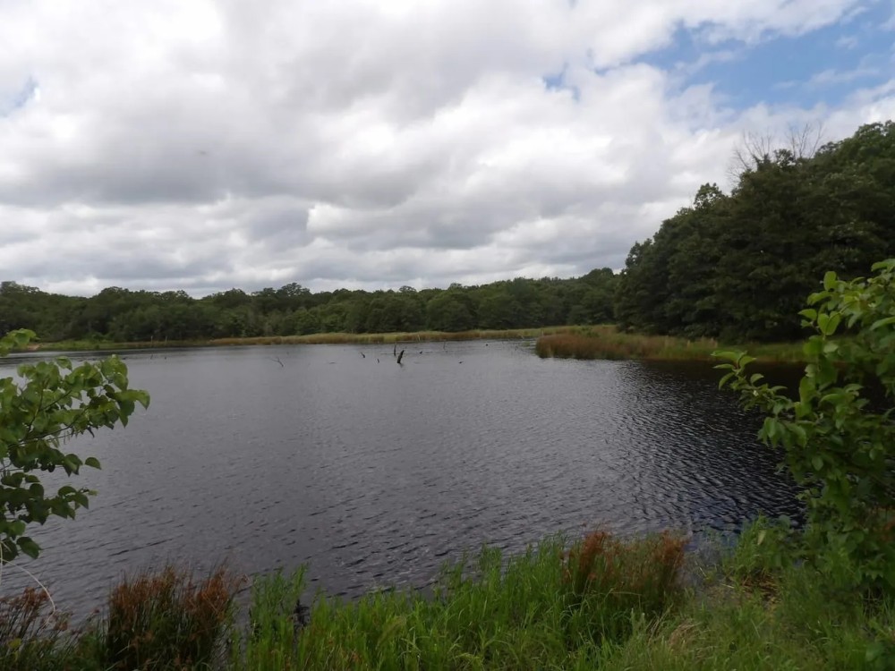 120 ACRES RANCH RECREATIONAL PROPERTY featured image