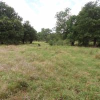 120 ACRES RANCH RECREATIONAL PROPERTY images 4