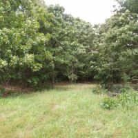 120 ACRES RANCH RECREATIONAL PROPERTY images 5