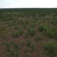 New Listing 367.64 Acres Jones County images 3