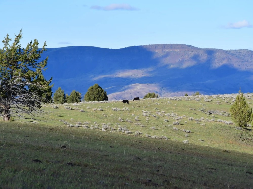 John Day Breaks Pasture featured image
