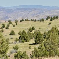 John Day Breaks Pasture images 2