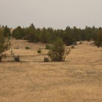 John Day Breaks Pasture images 4