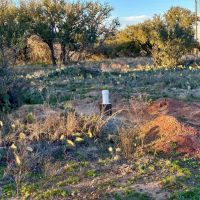 1 Ranch Rd 1222 Mason TX 76856 images 5