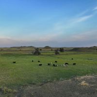 Gray Ranch on Little Porcupine Creek images 2