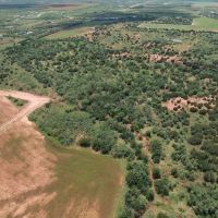 Price Reduction 15 - Acres Taylor County Tract 5 images 3