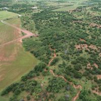 Price Reduction 15 - Acres Taylor County Tract 5 images 4