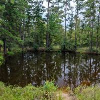39 Shiloh Lane images 2