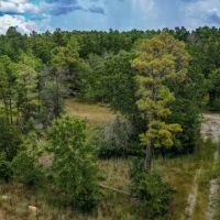 39 Shiloh Lane images 3