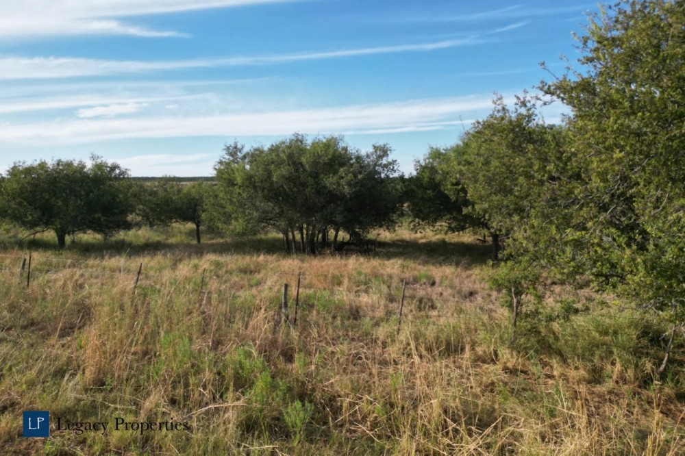Richards Salt Creek Ranch West featured image