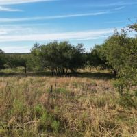Richards Salt Creek Ranch West