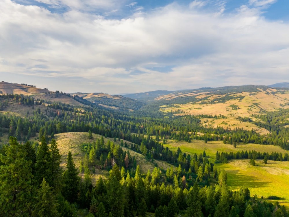 Sanctuary on Third Fork Hunting Land for Sale