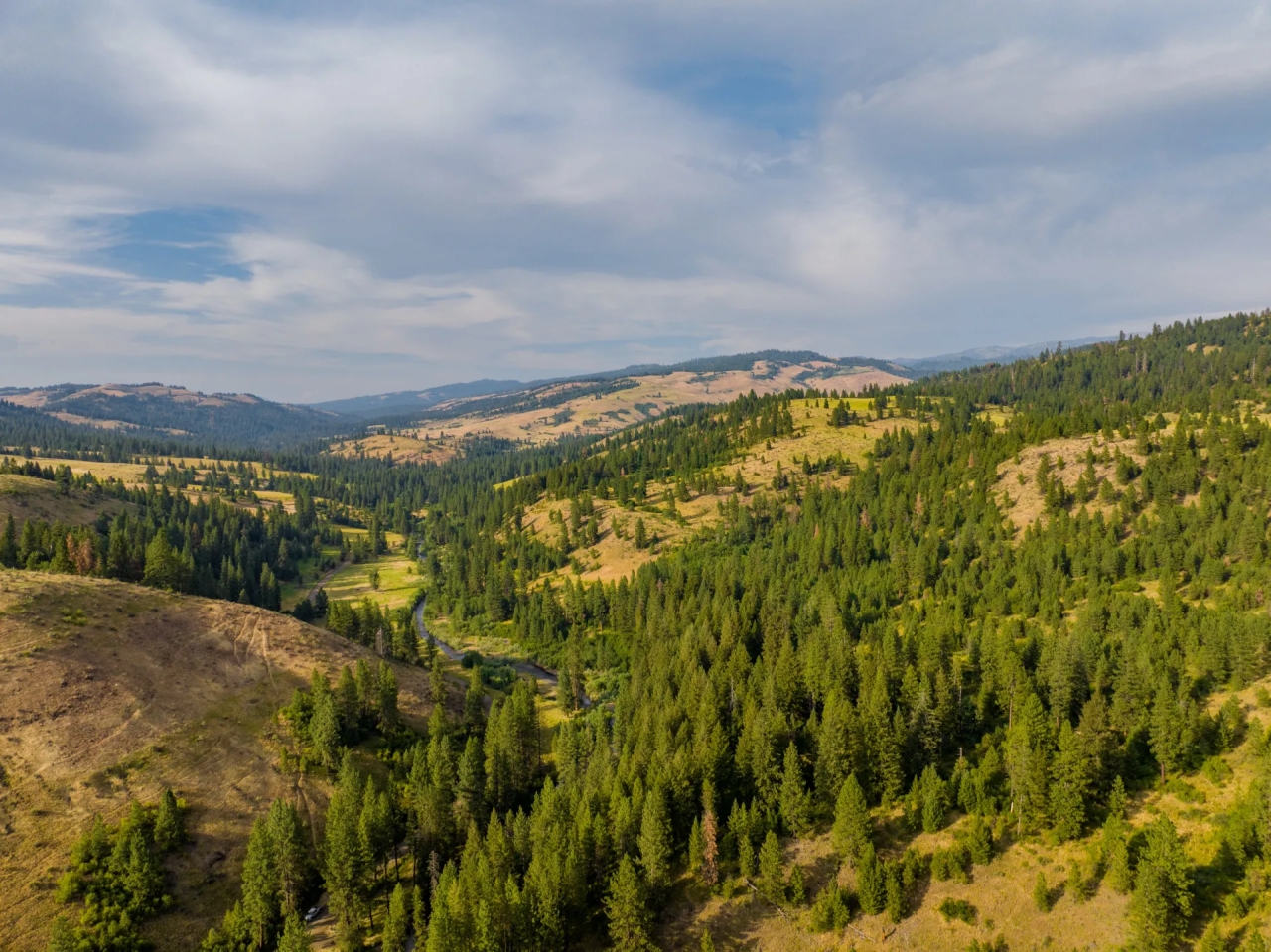 Sanctuary on Third Fork Hunting Land for Sale