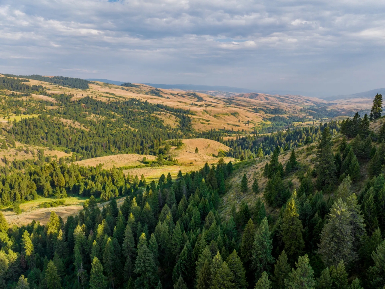 Sanctuary on Third Fork Hunting Land for Sale
