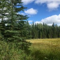 10 acres near Kasilof River images 3