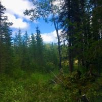 10 acres near Kasilof River images 5
