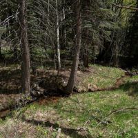 Vance Peak Ranch images 5
