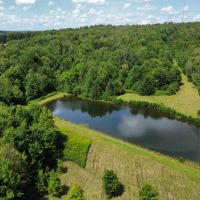 158 acres House and Pond with Hunting and Recreational Land in South Otselic NY 155 Flannigan Rd images 3
