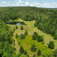 158 acres House and Pond with Hunting and Recreational Land in South Otselic NY 155 Flannigan Rd images 4