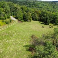 158 acres House and Pond with Hunting and Recreational Land in South Otselic NY 155 Flannigan Rd images 5