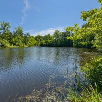56.59 Acres of Recreational Land for Sale in Caswell County NC images 3