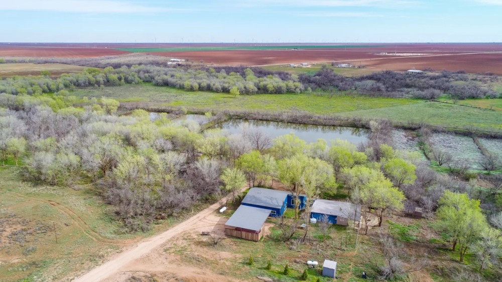 Dawson County Oasis featured image