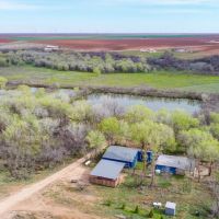 Dawson County Oasis