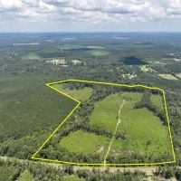 78 Acres T-2 Highway 63 Property