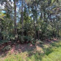 78 Acres T-2 Highway 63 Property images 4