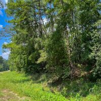 78 Acres T-2 Highway 63 Property images 5