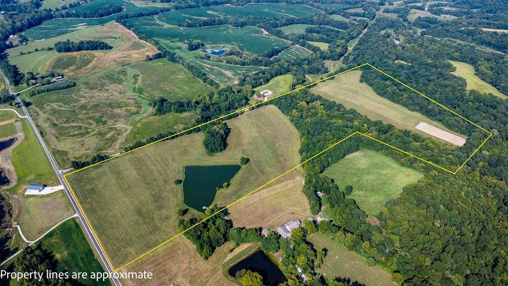 60 Acre Hunting Farm in Pike County featured image