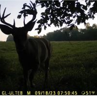 60 Acre Hunting Farm in Pike County images 3