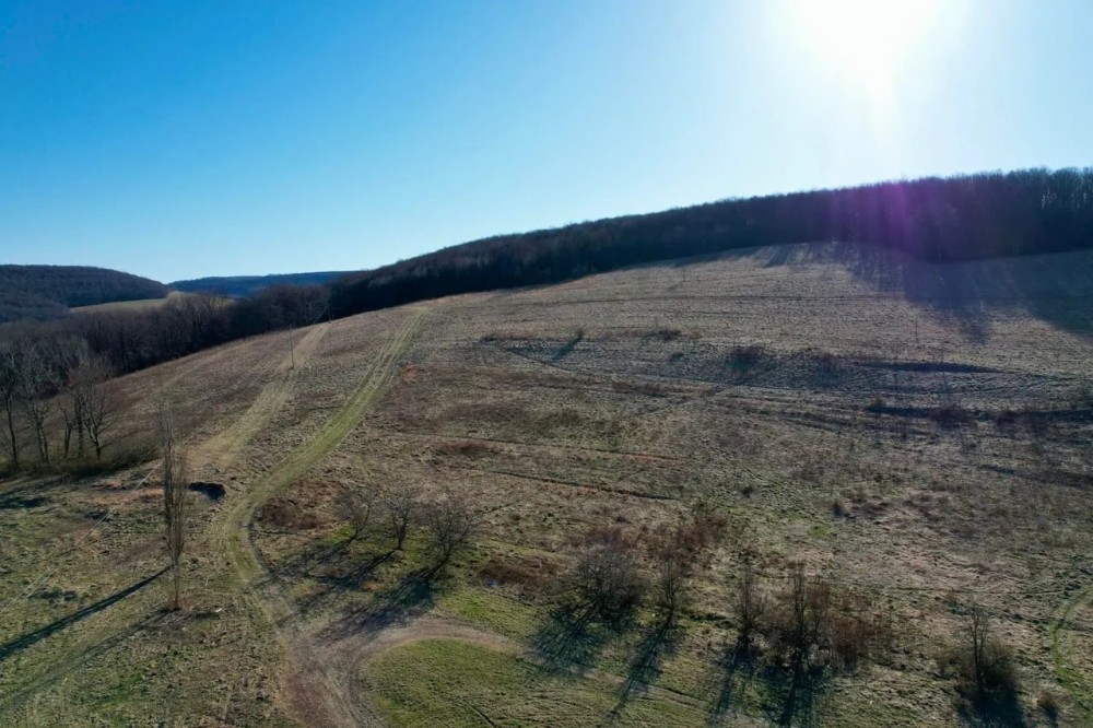 Mountain Rd. Fayette County - 138 acres featured image