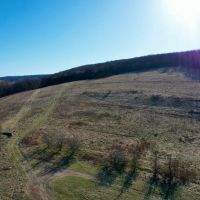 Mountain Rd. Fayette County - 138 acres