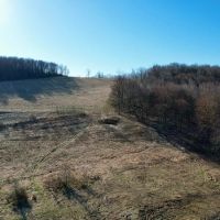 Mountain Rd. Fayette County - 138 acres images 2