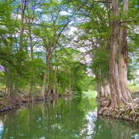 Guadalupe Bend River Ranch