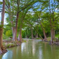 Guadalupe Bend River Ranch images 3