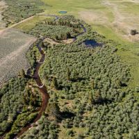 Lake Fork Ranch images 2