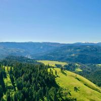 Henry Cattle Ranch