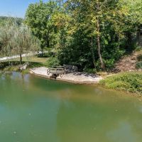 Home For Sale With 80 Acres - Greene County IN images 3