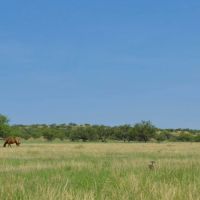 Crown C Ranch images 2