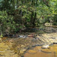 220 Ac Josserand Rd Tinity County TX images 5