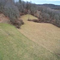 Mt. Carmel Ridge Rd. Greene County - 147 acres images 5