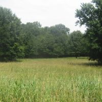 Homesite with Recreational Hunting in Soper Choctaw County OK 7.5ac AC images 2