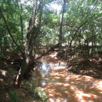 Homesite with Recreational Hunting in Soper Choctaw County OK 7.5ac AC images 5