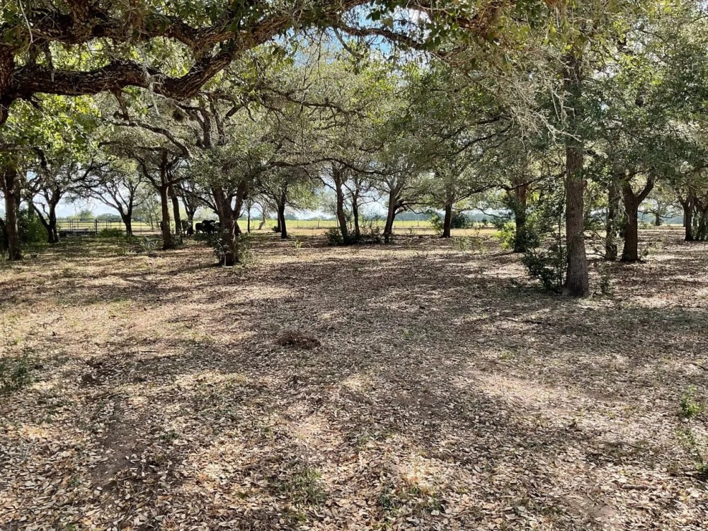 Matula Ranch featured image