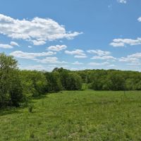 TBD Colt Ln Gorin MO